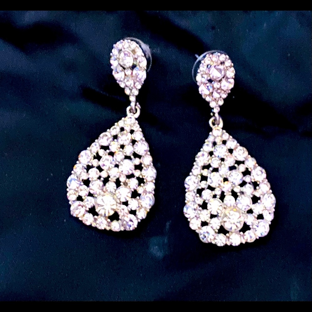 Beautiful Earrings - image 1